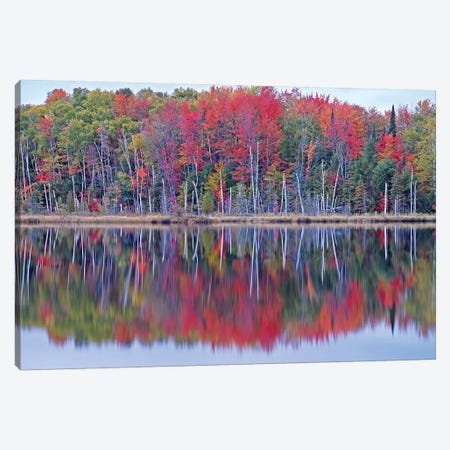 Council Lake Autumn Canvas Print #BWF96} by Brian Wolf Canvas Print