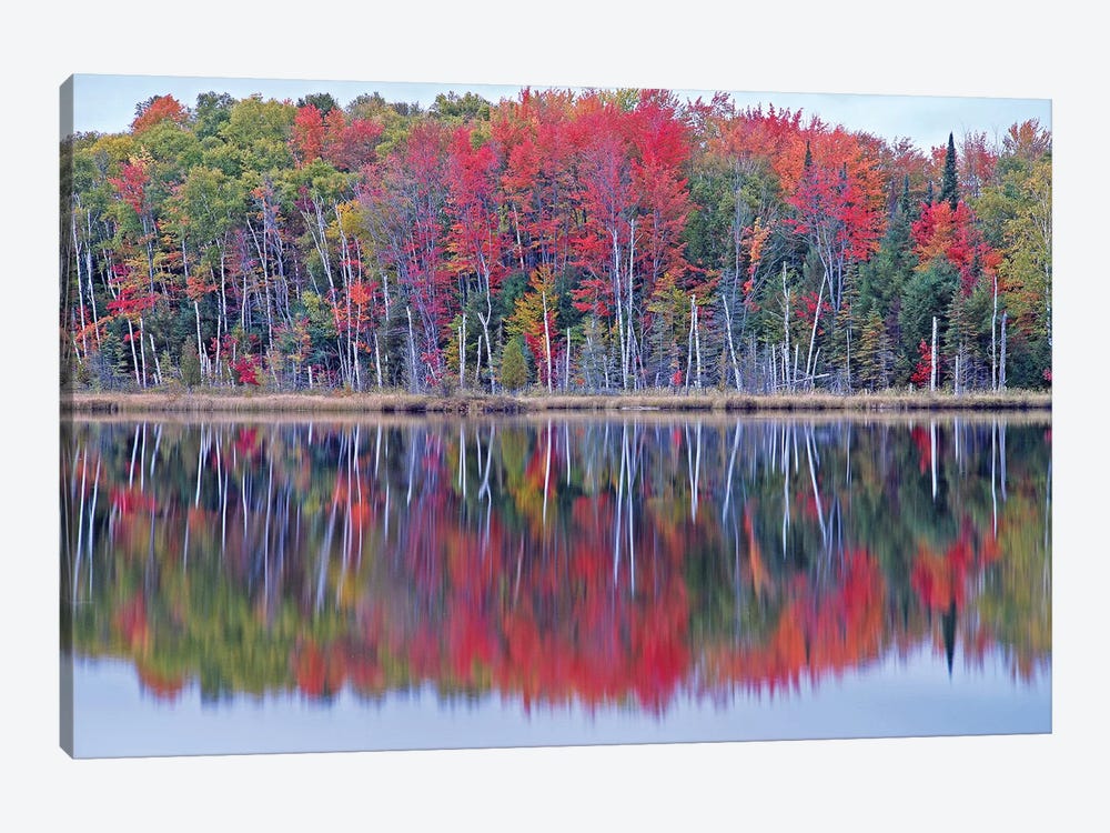 Council Lake Autumn by Brian Wolf 1-piece Art Print