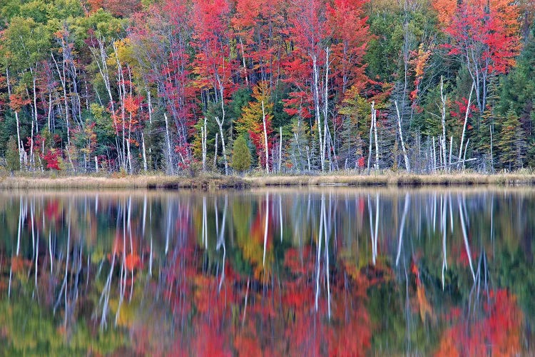 Council Lake Reflections