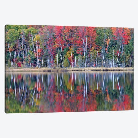 Council Lake Reflections Canvas Print #BWF97} by Brian Wolf Canvas Print
