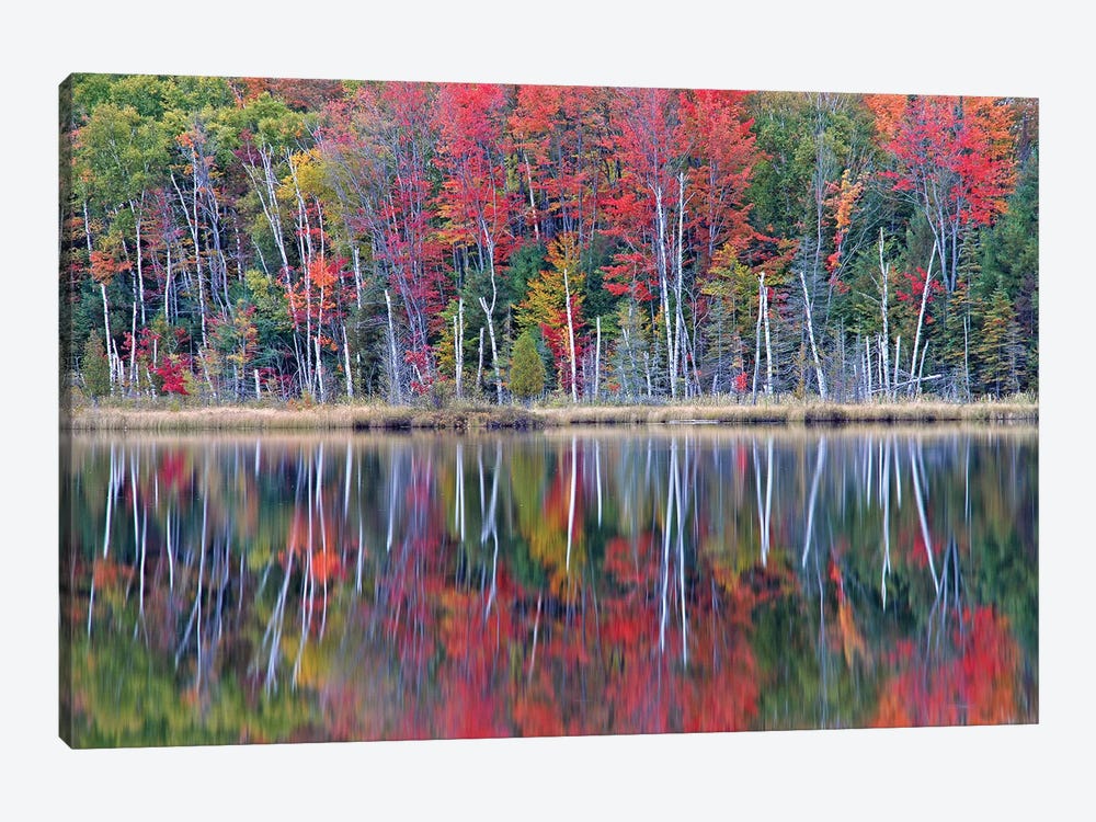 Council Lake Reflections by Brian Wolf 1-piece Canvas Artwork
