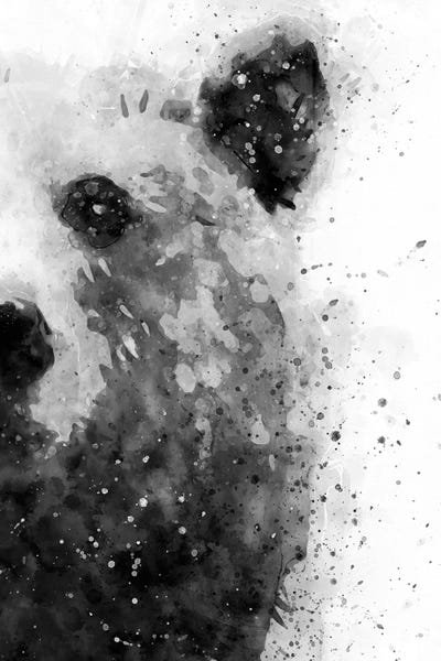 Grizzly Bears: Bear At Attention by Brandon Wong