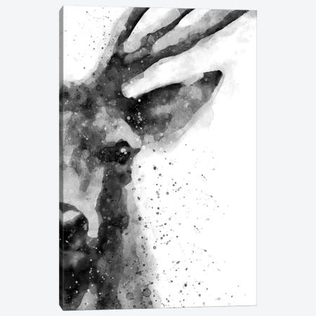 Deer At Attention Canvas Print #BWO5} by Brandon Wong Canvas Print