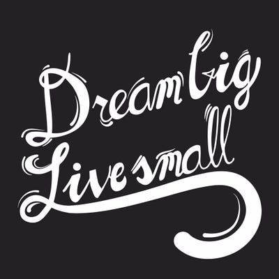 Dream Big II by 5by5collective canvas print