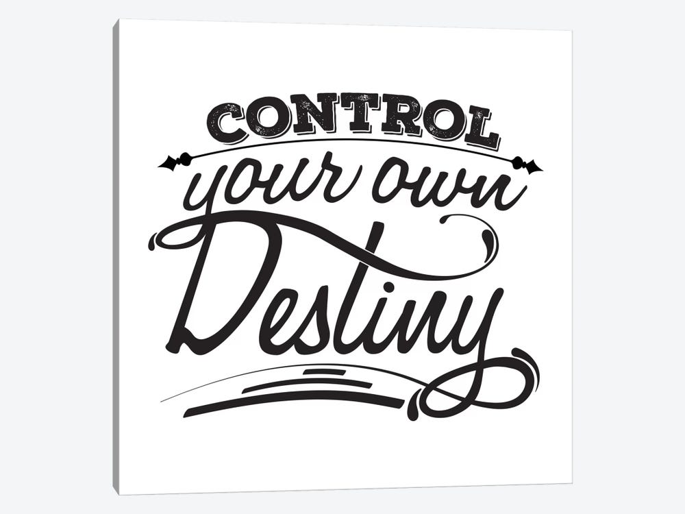 Control Your Destiny I by 5by5collective 1-piece Canvas Wall Art