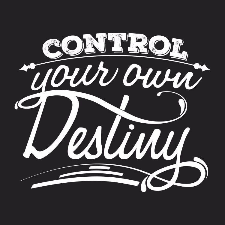 Control Your Destiny II by 5by5collective wall art