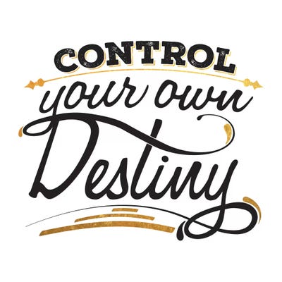 Control Your Destiny III by 5by5collective art print