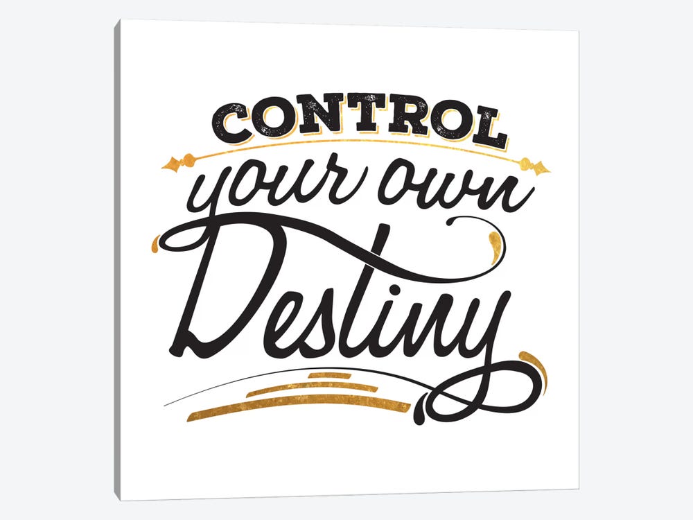Control Your Destiny III by 5by5collective 1-piece Canvas Art