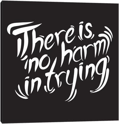 No Harm In Trying I Canvas Art Print - Bold Black & White Quotes