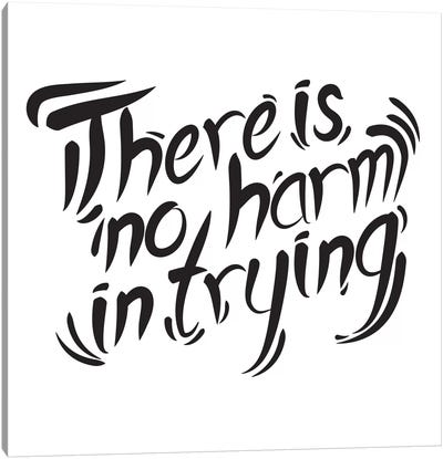 No Harm In Trying II Canvas Art Print - Bold Black & White Quotes