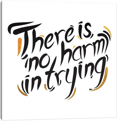 No Harm In Trying III Canvas Art Print - Bold Black & White Quotes