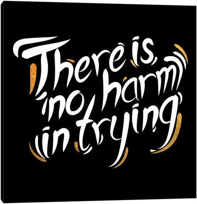 No Harm In Trying IV Canvas Art Print - Hope Art