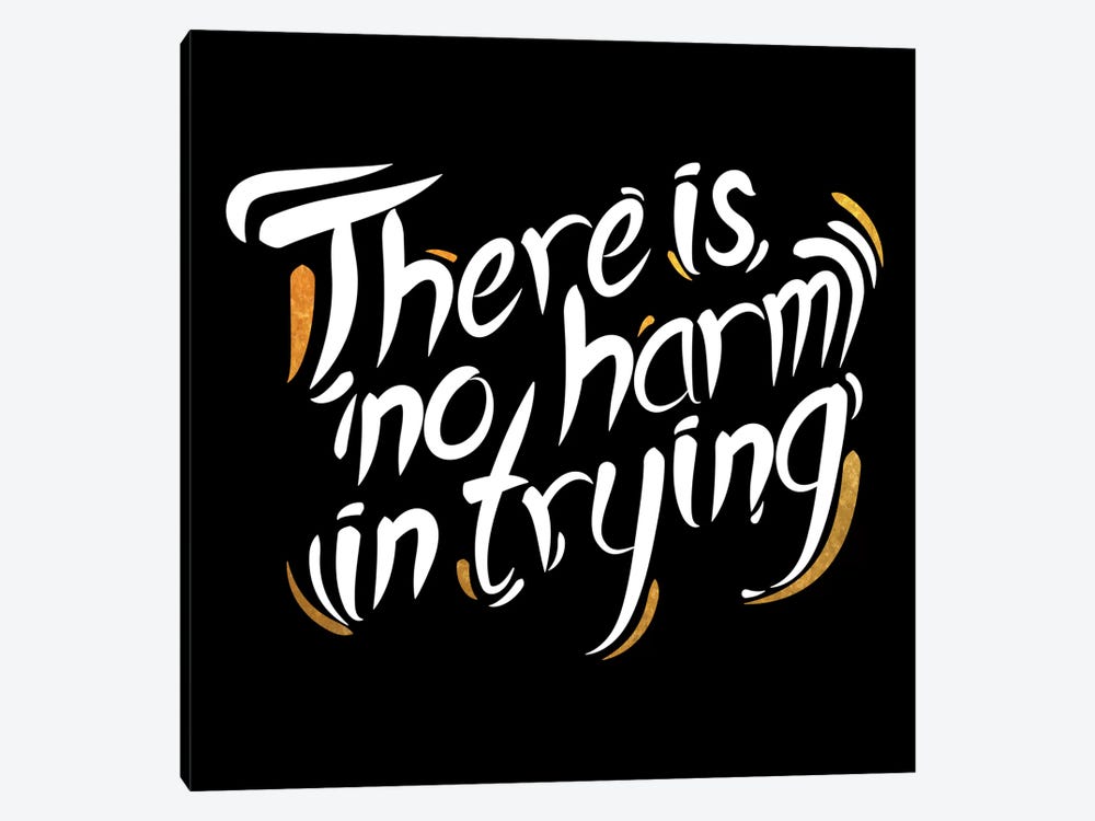 No Harm In Trying IV by 5by5collective 1-piece Canvas Artwork