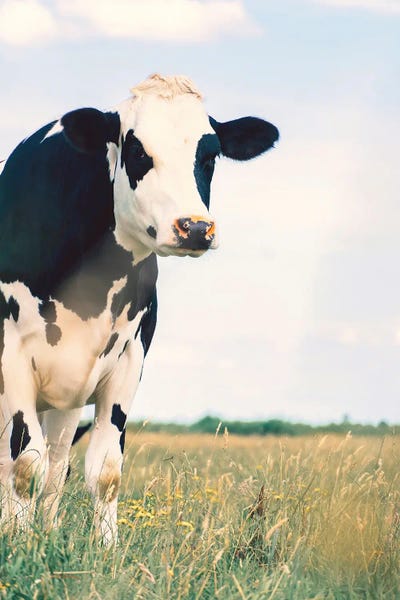 Krista Broadway: Kenton by Krista Broadway