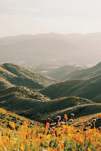 Palomar by Krista Broadway metal wall art