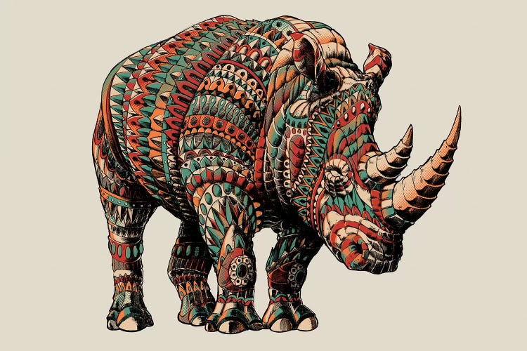 Rhino In Color I by Bioworkz wall art