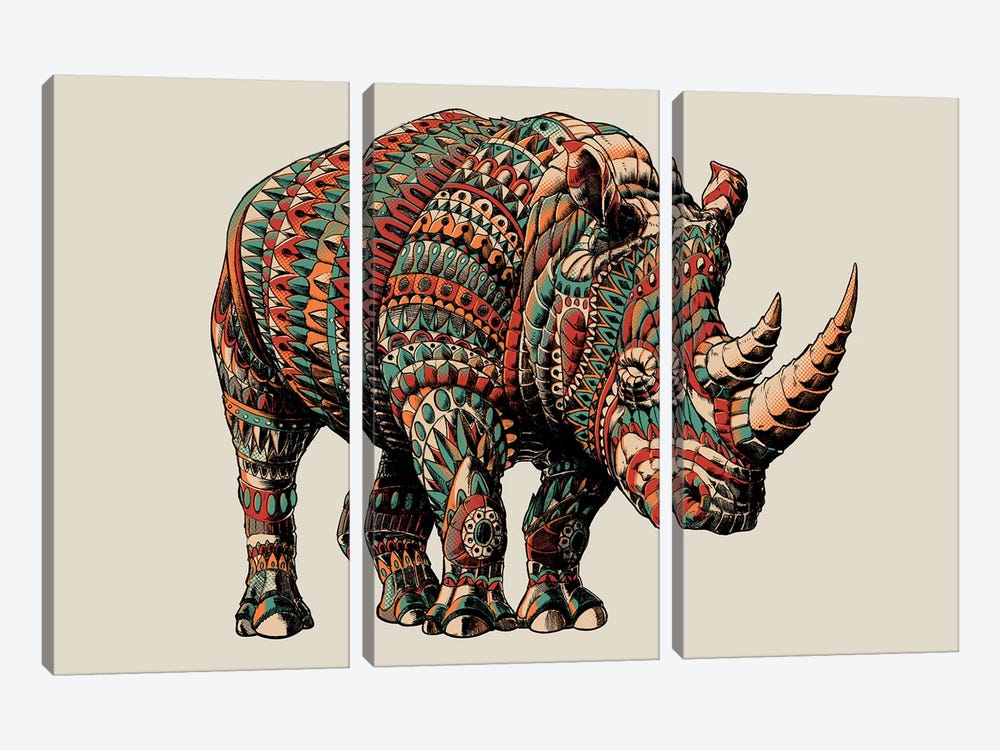 Rhino In Color I by Bioworkz 3-piece Canvas Wall Art