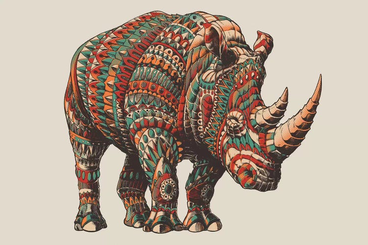 Rhino In Color II