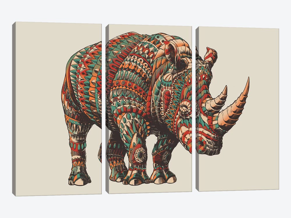 Rhino In Color II by Bioworkz 3-piece Art Print