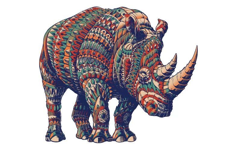 Rhino In Color III by Bioworkz wall art