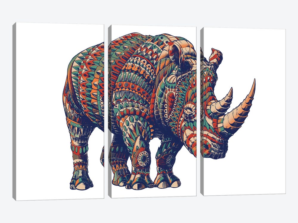 Rhino In Color III by Bioworkz 3-piece Canvas Wall Art