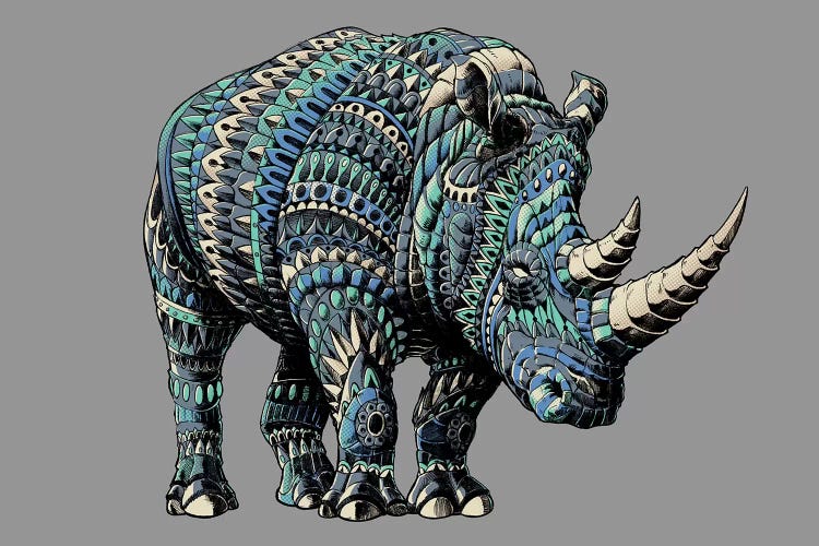 Rhino In Color IV by Bioworkz wall art