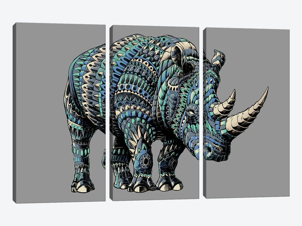 Rhino In Color IV 3-piece Art Print