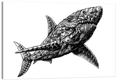 Great White Shark Canvas Art Print - Tattoo Parlor