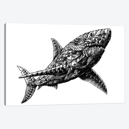 Great White Shark Canvas Print #BWZ10} by Bioworkz Canvas Artwork