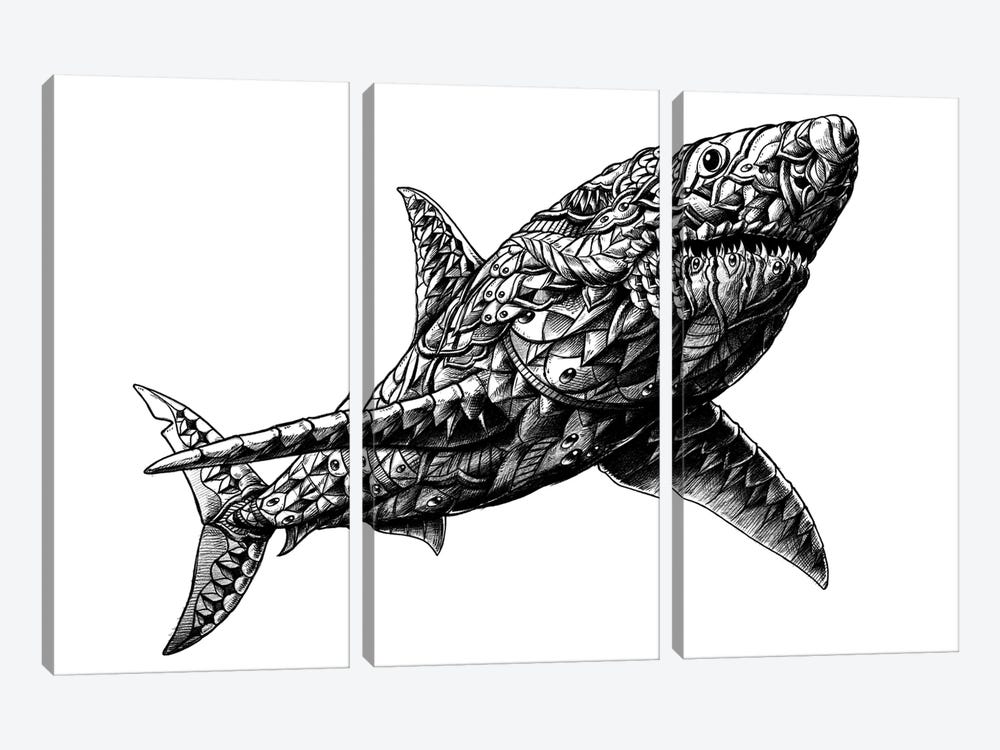 Great White Shark by Bioworkz 3-piece Canvas Wall Art