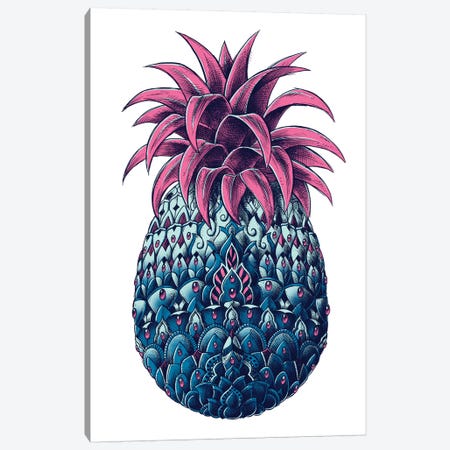 Pineapple In Color II Canvas Print #BWZ116} by Bioworkz Canvas Wall Art