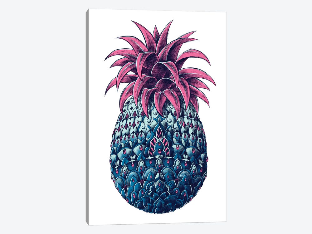 Pineapple In Color II by Bioworkz 1-piece Canvas Artwork