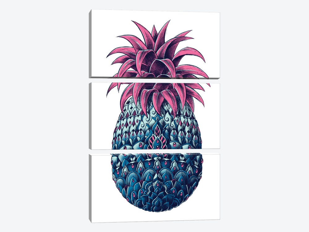 Pineapple In Color II by Bioworkz 3-piece Canvas Artwork
