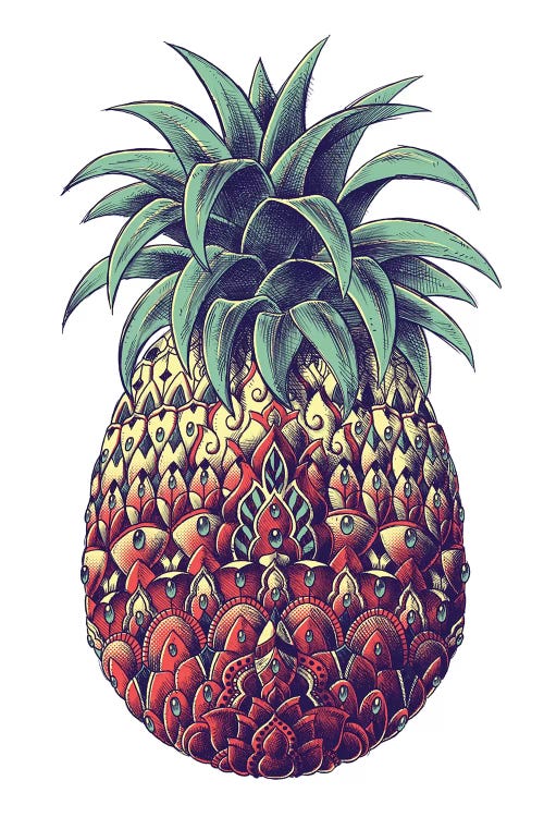Pineapple In Color III by Bioworkz wall art