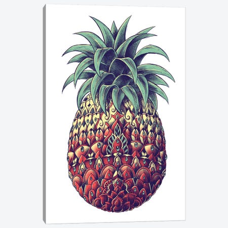 Pineapple In Color III Canvas Print #BWZ117} by Bioworkz Canvas Artwork