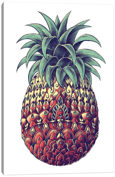 Pineapple In Color III Canvas Art Print - Pineapple Art