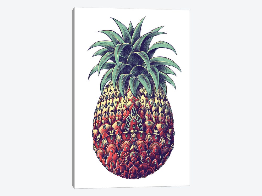 Pineapple In Color III by Bioworkz 1-piece Art Print