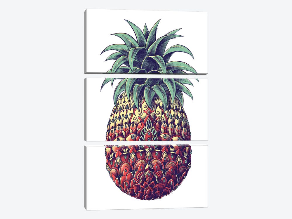 Pineapple In Color III by Bioworkz 3-piece Canvas Print
