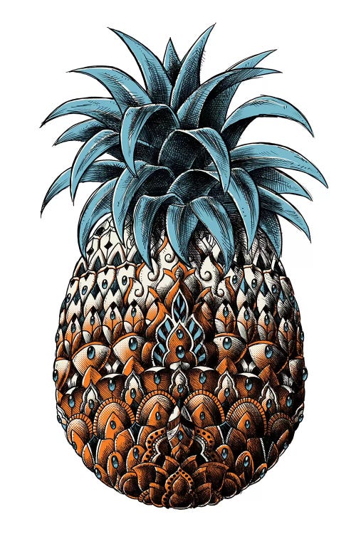 Pineapple In Color IV