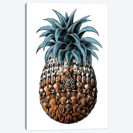 Pineapple In Color IV Canvas Print #BWZ118} by Bioworkz Canvas Art Print