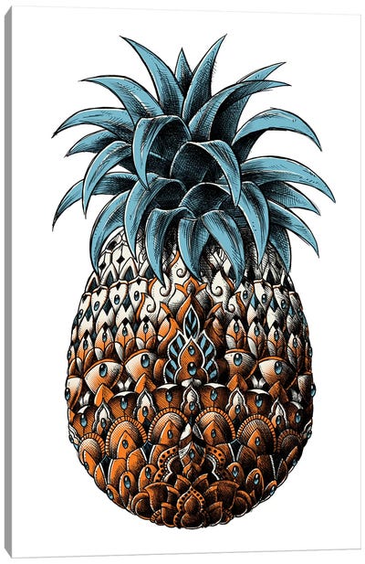 Pineapple In Color IV Canvas Art Print - Pineapple Art