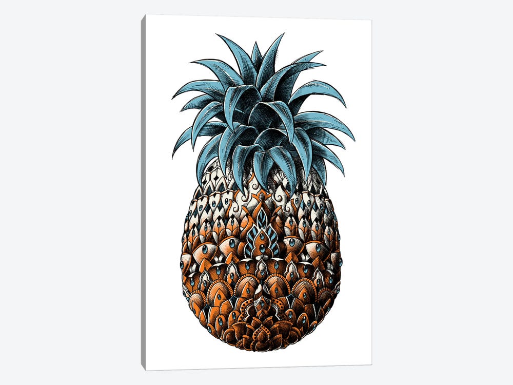 Pineapple In Color IV by Bioworkz 1-piece Canvas Artwork