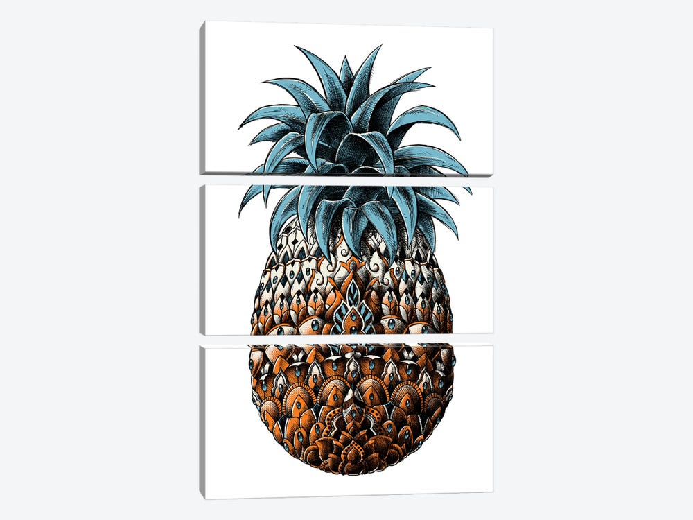 Pineapple In Color IV by Bioworkz 3-piece Canvas Artwork