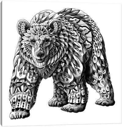 Grizzly Bear Canvas Art Print - Bioworkz