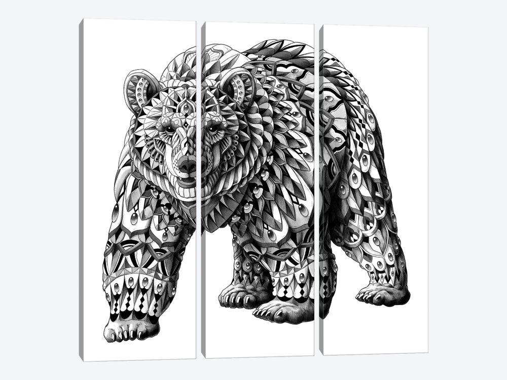 Grizzly Bear by Bioworkz 3-piece Canvas Art Print