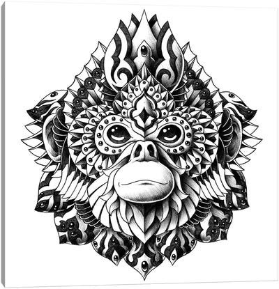 Snub-Nosed Monkey Canvas Art Print - Bioworkz
