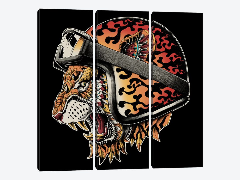 Tiger Helm In Color by Bioworkz 3-piece Canvas Art Print