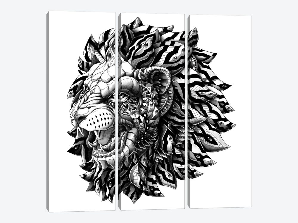 Lion by Bioworkz 3-piece Canvas Print