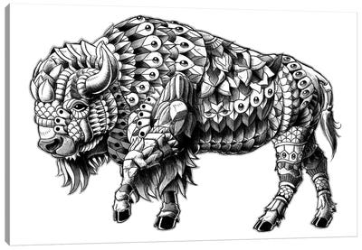 Ornate Bison Canvas Art Print - Bison & Buffalo Art