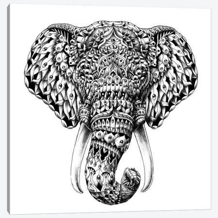 Ornate Elephant Head Canvas Print #BWZ17} by Bioworkz Canvas Art Print